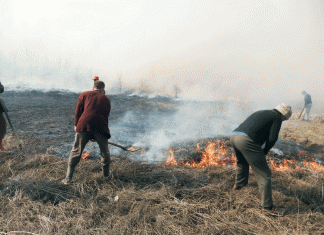 “Curățenia de primăvară” a venit în ONEȘTI și cu un INCENDIU de vegetație uscată, pe strada Erou Turturică!