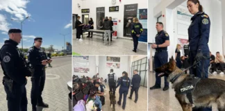 (VIDEO) Operațiune de amploare pe aeroportul din Bacău: polițiști, jandarmi, câini antidrog și verificări pentru peste 1.000 de pasageri