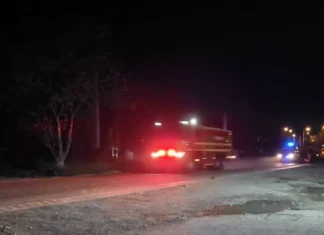 NEWS ALERT: (FOTO) Incendiu puternic într-o gospodărie din Blidari, comuna Căiuți. Pompierii oneșteni intervin cu trei autospeciale