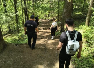 (FOTO) Au dat nas în nas cu un urs: Momente de panică pentru doi tineri din județul Bacău pe munte