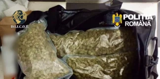 ULTIMA ORĂ: (FOTO) Droguri aduse din Anglia prin colet și vândute în județul Bacău. Doi suspecți, reținuți de DIICOT Bacău