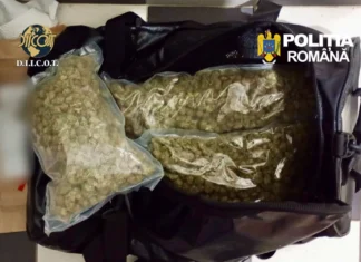 ULTIMA ORĂ: (FOTO) Droguri aduse din Anglia prin colet și vândute în județul Bacău. Doi suspecți, reținuți de DIICOT Bacău