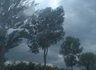 NEWS ALERT: Ploi, vijelii și grindină până sâmbătă. Județul Bacău intră sub Cod galben de vânt puternic