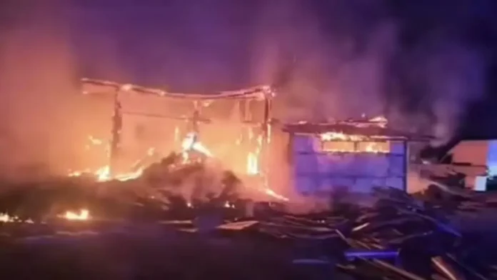 incendiu-animale-convertită-de-la-jpg