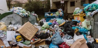 Probleme fără sfârșit la ADIS Bacău. Licitația pentru colectarea deșeurilor în Onești, Moinești și alte 63 de localități a picat