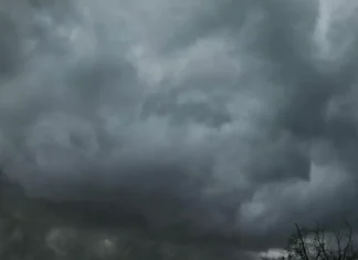 NEWS ALERT: Cod galben de vijelii în Bacău și Moldova. ANM anunță vânt puternic, ploi torențiale și grindină