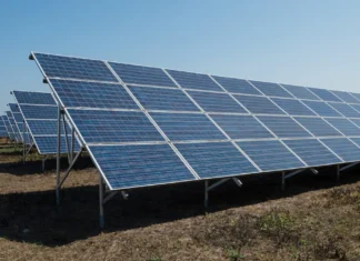 Proiect fotovoltaic de 3 MW la Onești. A fost lansată licitația pentru execuția lucrărilor. Investiția depășește 3 milioane de euro