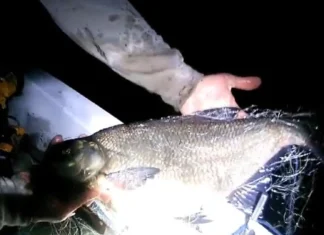 Braconieri prinși pe un lac din județul Bacău! Au fugit ca iepurii și au abandonat barca plină cu pește