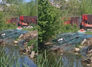(FOTO) Deșeuri abandonate pe malul unui fost iaz piscicol din județul Bacău. Proprietarul terenului, amendat drastic de Garda de Mediu