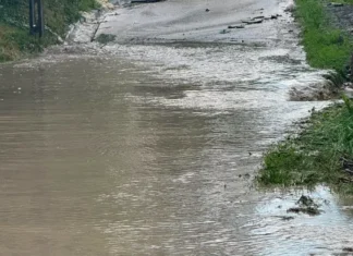 ULTIMA ORĂ: (FOTO) Inundații în Dărmănești, Târgu Ocna și Dofteana. Pompierii sunt în teren
