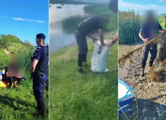 (VIDEO) Braconaj piscicol pe râul Siret: plase monofilament și multifilament descoperite de jandarmi. Trei persoane, cercetate