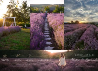 (FOTO) Grădina de lavandă Botez&Lavanda se deschide astăzi: Ce surprize îi așteaptă pe vizitatori. Program, tarife și evenimente speciale în județul Bacău
