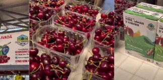 (VIDEO) Ferma Bogdănești ajunge în Piața Agroalimentară Onești. Unde găsesc clienții fructe proaspete din livadă