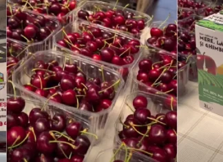 (VIDEO) Ferma Bogdănești ajunge în Piața Agroalimentară Onești. Unde găsesc clienții fructe proaspete din livadă