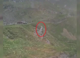 (VIDEO) Moment șocant pe Transfăgărășan: o mașină a plonjat într-o prăpastie, după ce șoferul a uitat să tragă frâna de mână, fascinat de peisaj