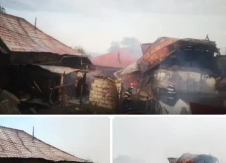 (VIDEO) Noi informații și despre incendiul din Poduri, Bacău: trei locuințe afectate pe o suprafață de 450 mp. Pompierii au salvat mai multe animale