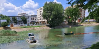 (FOTO) Utilaj amfibiu pe Lacul de Agrement Bacău. SGA a început cosirea stufului