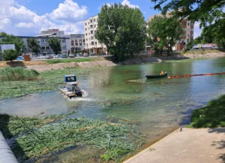 (FOTO) Utilaj amfibiu pe Lacul de Agrement Bacău. SGA a început cosirea stufului
