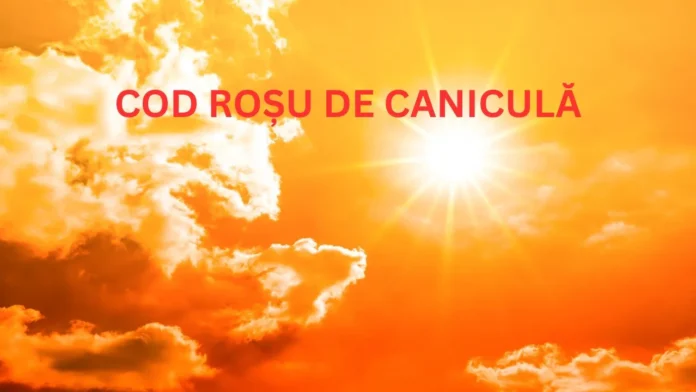 cod-rosu-canicula-convertită-de-la-jpg