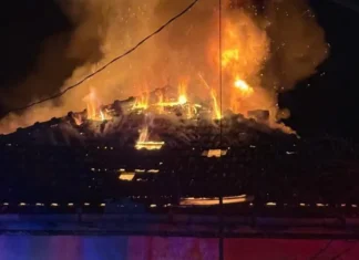 Foc după foc în județul Bacău: Pompierii au intervenit la 7 incendii și alte peste 160 de urgențe în doar trei zile