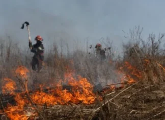 Weekend de foc în Bacău: 108 intervenții pentru pompieri și trei incendii de vegetație în ultimele 24 de ore