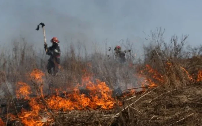 incendiu vegetatie