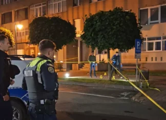 (VIDEO) Crimă înfiorătoare: Polițist în vârstă de 50 de ani, înjunghiat mortal de propriul fiu, în plină stradă, în Piatra Neamț