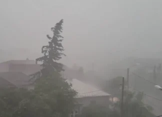 NEWS ALERT: Sunt anunțate furtuni puternice în județul Bacău! ANM a emis cod portocaliu și cod galben de vijelii, grindină și ploi torențiale. Ce zone sunt vizate