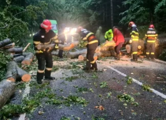 (VIDEO) Un mort și pagube uriașe după furtuna care a lovit Bucureștiul și Ilfovul: bărbat ucis de un copac căzut peste un autoturism