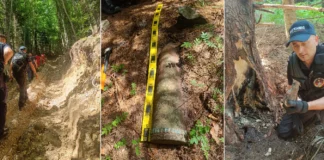 (FOTO) Muniție neexplodată din Primul Război Mondial, descoperită în comuna Oituz. Un proiectil uriaș a fost detonat controlat
