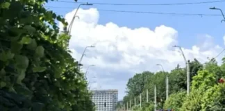 NEWS ALERT: Incendiu la un autovehicul în comuna Oituz. Intervenție a pompierilor din Onești