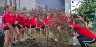 (VIDEO) La 50 de ani de la primul 10 perfect al Nadiei Comăneci, micuțele gimnaste de la CSM Onești au plantat „Arțarul Continuității”
