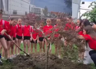 (VIDEO) La 50 de ani de la primul 10 perfect al Nadiei Comăneci, micuțele gimnaste de la CSM Onești au plantat „Arțarul Continuității”