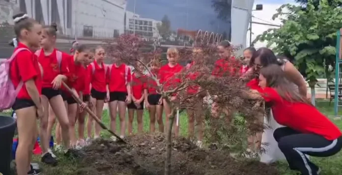 Captură de ecran 2026-07-19 074737-convertită-de-la-png