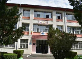 Performanță pentru Colegiul „Grigore Moisil” Onești. A fost admis în prestigiosul concurs „Școală Europeană” 2026