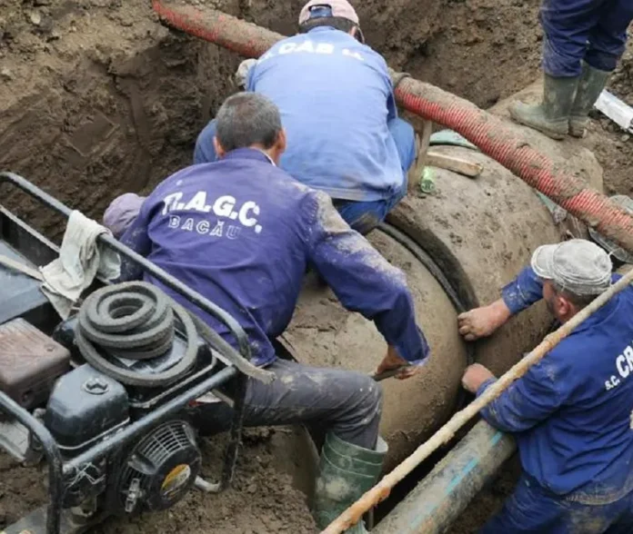 crab-convertită-de-la-jpg