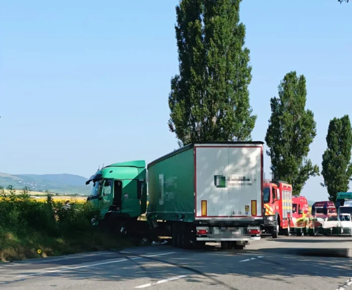 daaf2570-eb81-4639-8bf7-64942a1ec28b-convertită-de-la-jpg