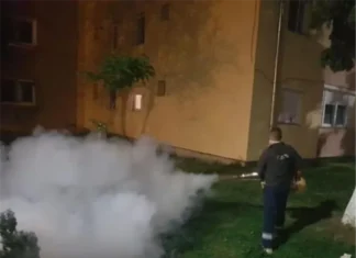 Încep dezinsecțiile la Onești. Primăria anunță tratamente în tot orașul. Ce zone vor fi tratate