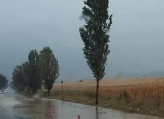 ULTIMA ORĂ: Cod galben de furtuni în Bacău. Ploi torențiale, vijelii și grindină anunțate de meteorologi