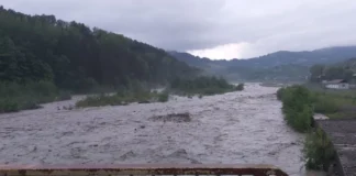 NEWS ALERT: Cod galben de inundații în bazinele hidrografice Trotuș și Bistrița. Avertizare pentru județul Bacău