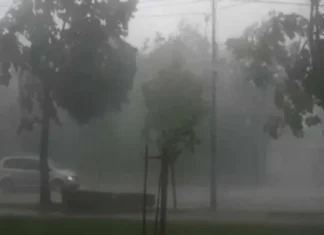 NEWS ALERT: Cod galben de furtuni în județul Bacău. Ploi torențiale, grindină și vijelii anunțate de ANM