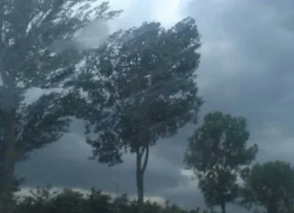 NEWS ALERT: Cod portocaliu de vreme rea în județul Bacău. ANM anunță ploi torențiale, vijelii și grindină. Meteorologii avertizează asupra fenomenelor periculoase