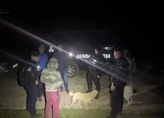 După atacul de la Mănăstirea Cașin, un urs a fost semnalat și în Buhuși. RO-Alert pentru populație, oamenii au fost sfătuiți să rămână în case