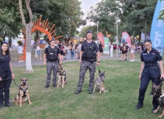 (VIDEO) Povestea celor 11 blănoși ai M.A.I. de la nivelul județului Bacău care aduc siguranță la Young Island Festival 2026