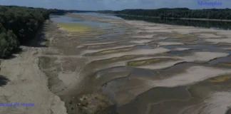De ce este Dunărea la un nivel atât de scăzut, deși în România a plouat mult. Explicația specialiștilor