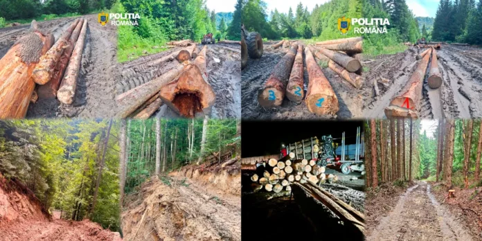 Captură de ecran 2026-08-01 075624-convertită-de-la-png