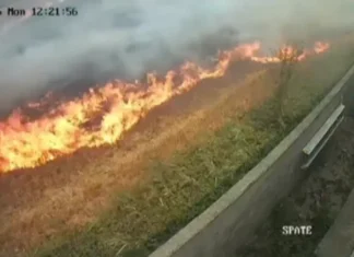 (VIDEO) Incendiu puternic în județul Bacău. Șapte hectare de miriște s-au făcut scrum