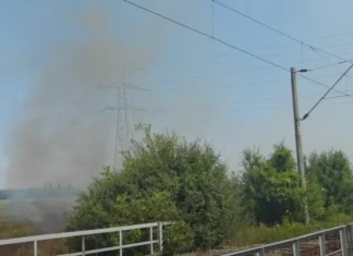 (FOTO) Incendiu de vegetație în Bacău. Patru hectare au fost mistuite de flăcări