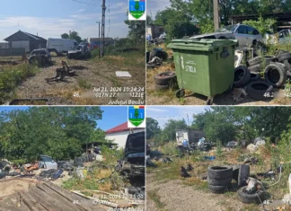 (FOTO) Descoperire-șoc în județul Bacău! 17 mașini abandonate și peste 120 de anvelope, găsite pe un teren privat