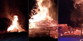 ULTIMA ORĂ: (VIDEO) Incendiu devastator la un depozit de lemn din Sănduleni, Bacău. Sute de metri cubi de material lemnos au ars